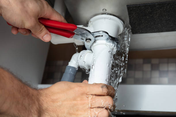 Best Basement water damage restoration  in Belle Plaine, IA