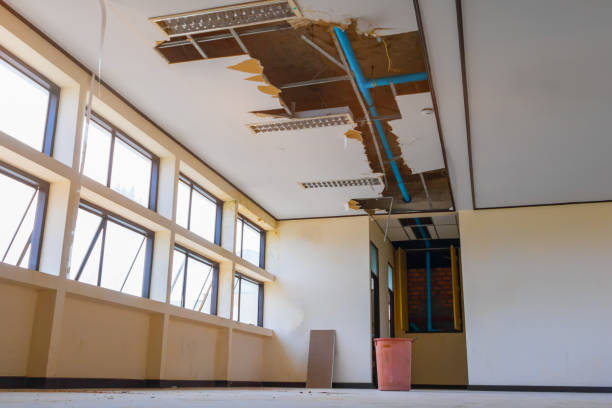 Best Water damage restoration near me  in Belle Plaine, IA
