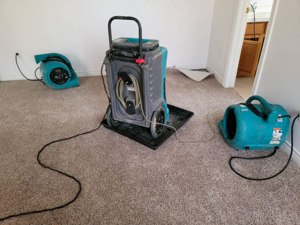 Best Water damage restoration company  in Belle Plaine, IA
