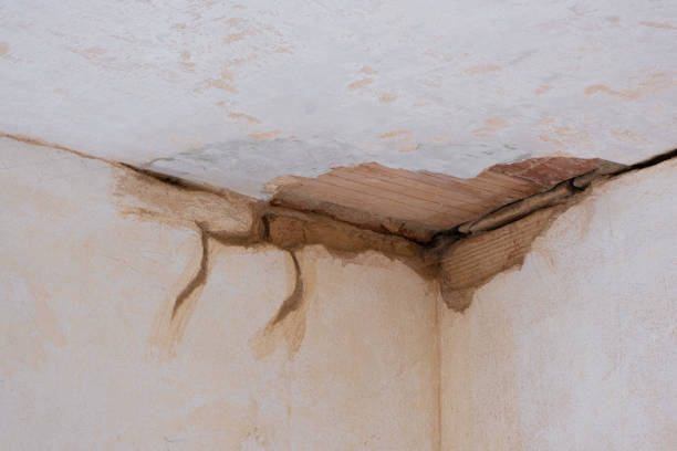 Best Mold removal after water damage  in Belle Plaine, IA