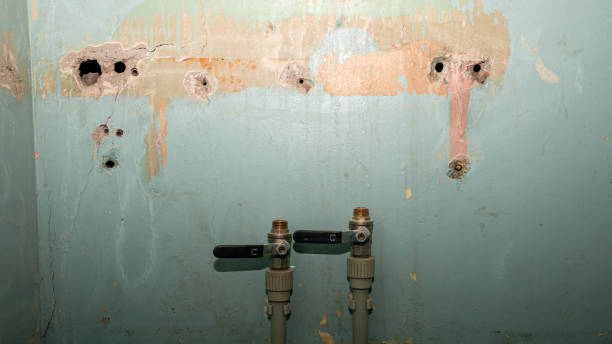 Best 24/7 water damage repair  in Belle Plaine, IA