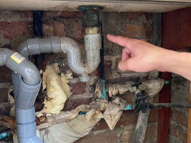 Best Local water damage restoration  in Belle Plaine, IA