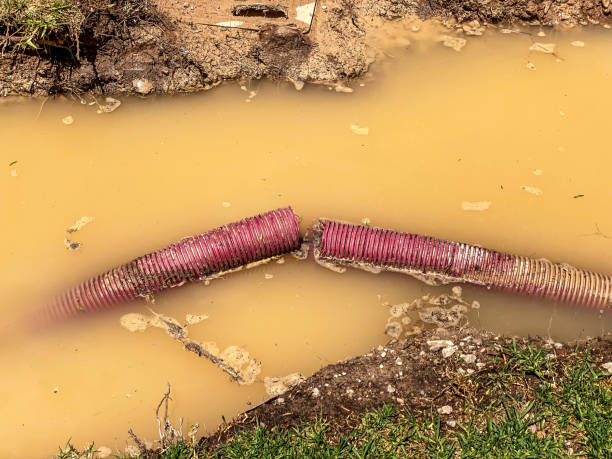 Best Water damage contractors near me  in Belle Plaine, IA