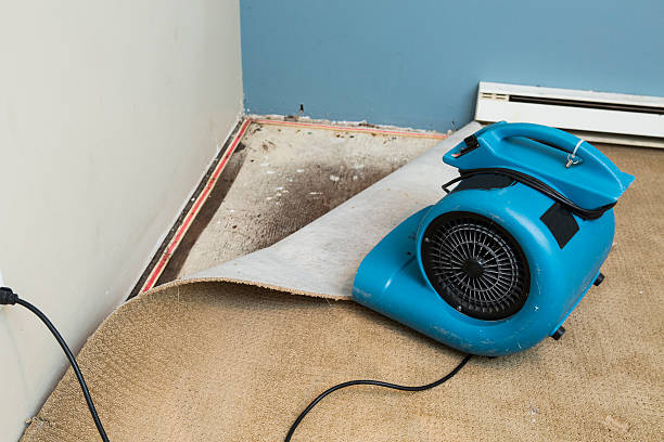 Best Flood restoration services  in Belle Plaine, IA